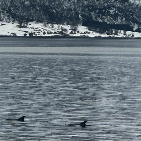 Holiday home Lyngen Blue House *