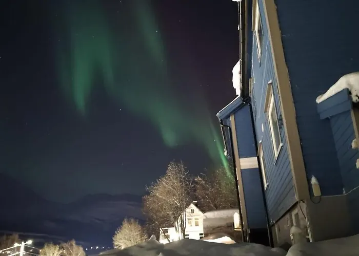 Lyngen Blue House Dom wakacyjny *