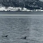 펜션 Lyngen Blue House *