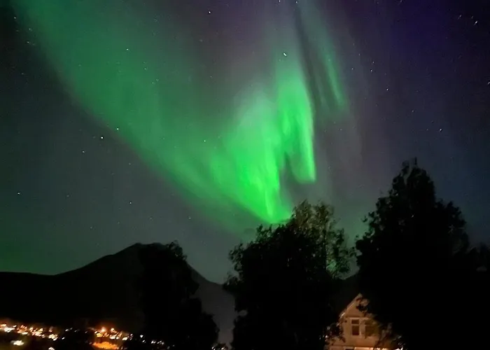 Lyngen Blue House Feriehus